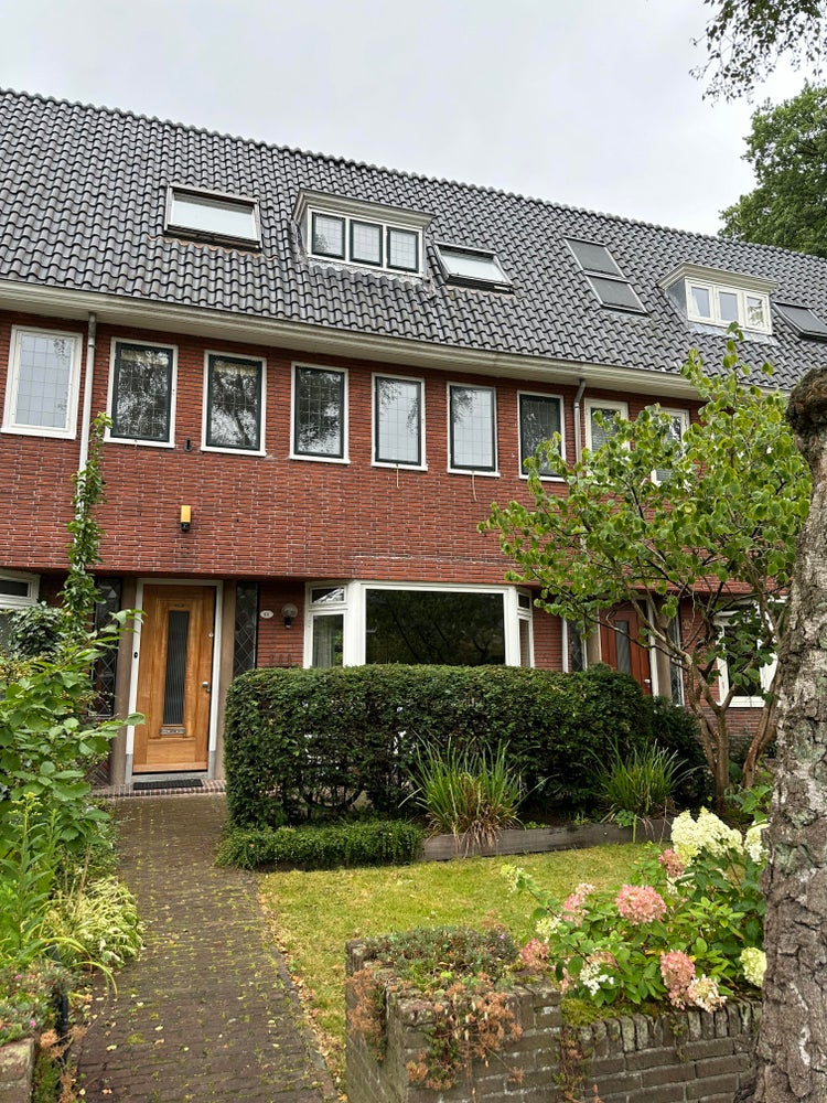 De Savornin Lohmanlaan